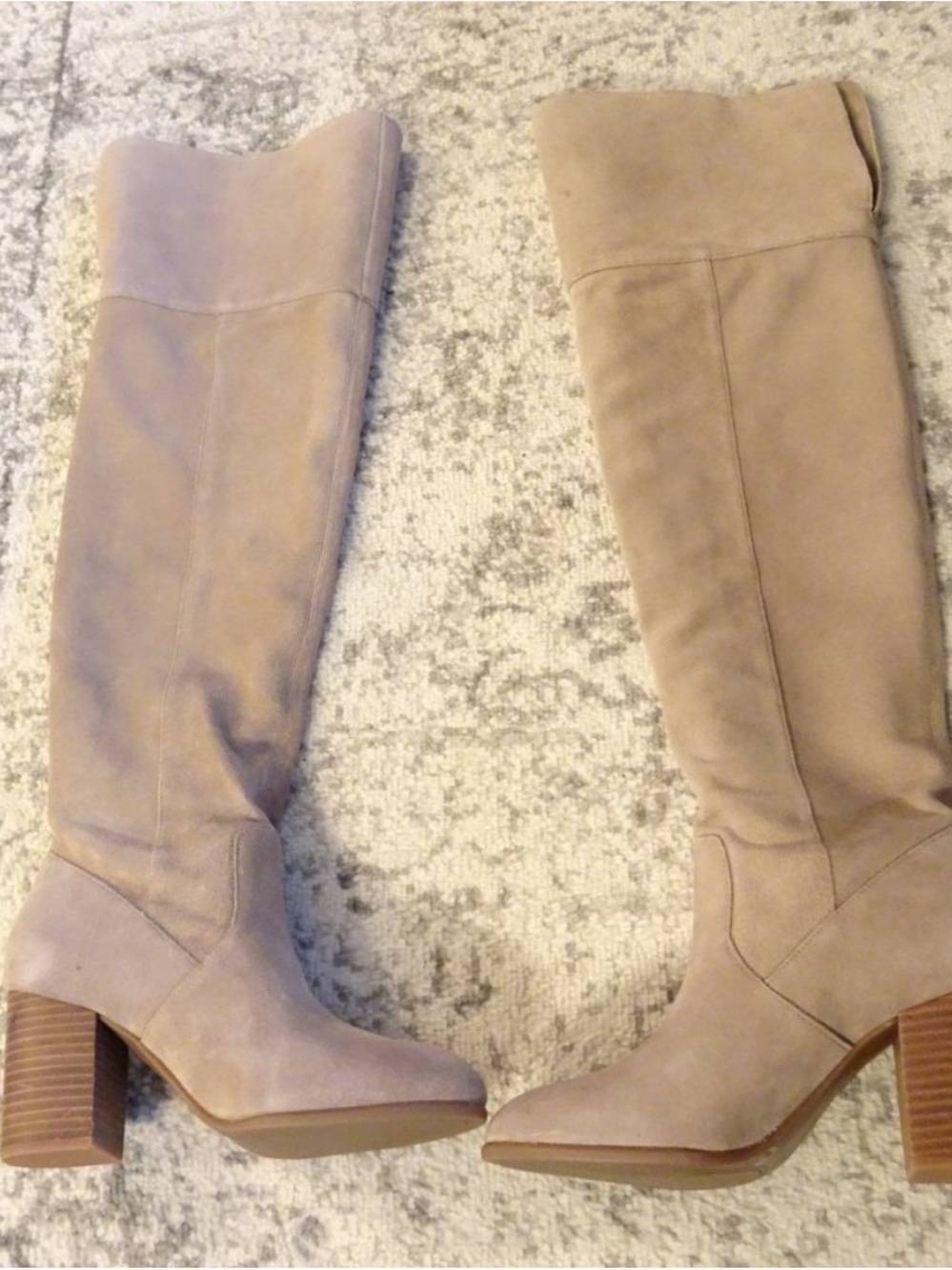 Classic Beige Suede Knee-High Block Heel Boots - Women